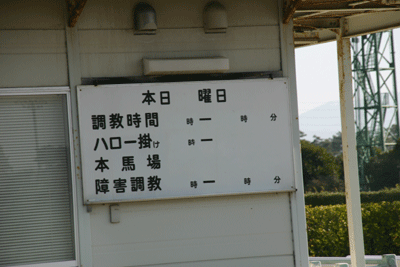 n03