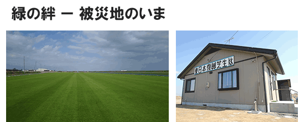 緑の絆