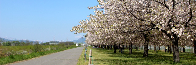 堤防・傾斜地