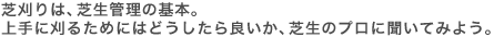 芝刈りは、芝生管理の基本。上手に刈るためにはどうしたら良いか、芝生のプロに聞いてみよう。
