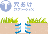 穴あけ（エアレーション）