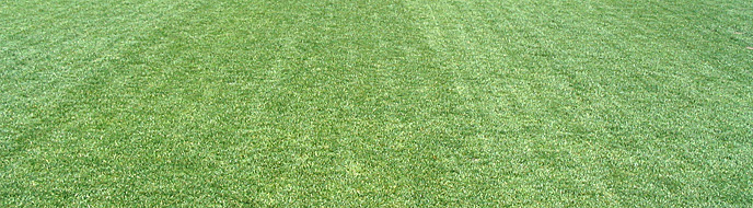 芝刈り機のプロ 共栄社 バロネス がおすすめする校庭緑化 芝生の教科書 芝生の維持管理
