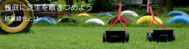 校庭に芝生を敷きつめよう／校庭緑化とは